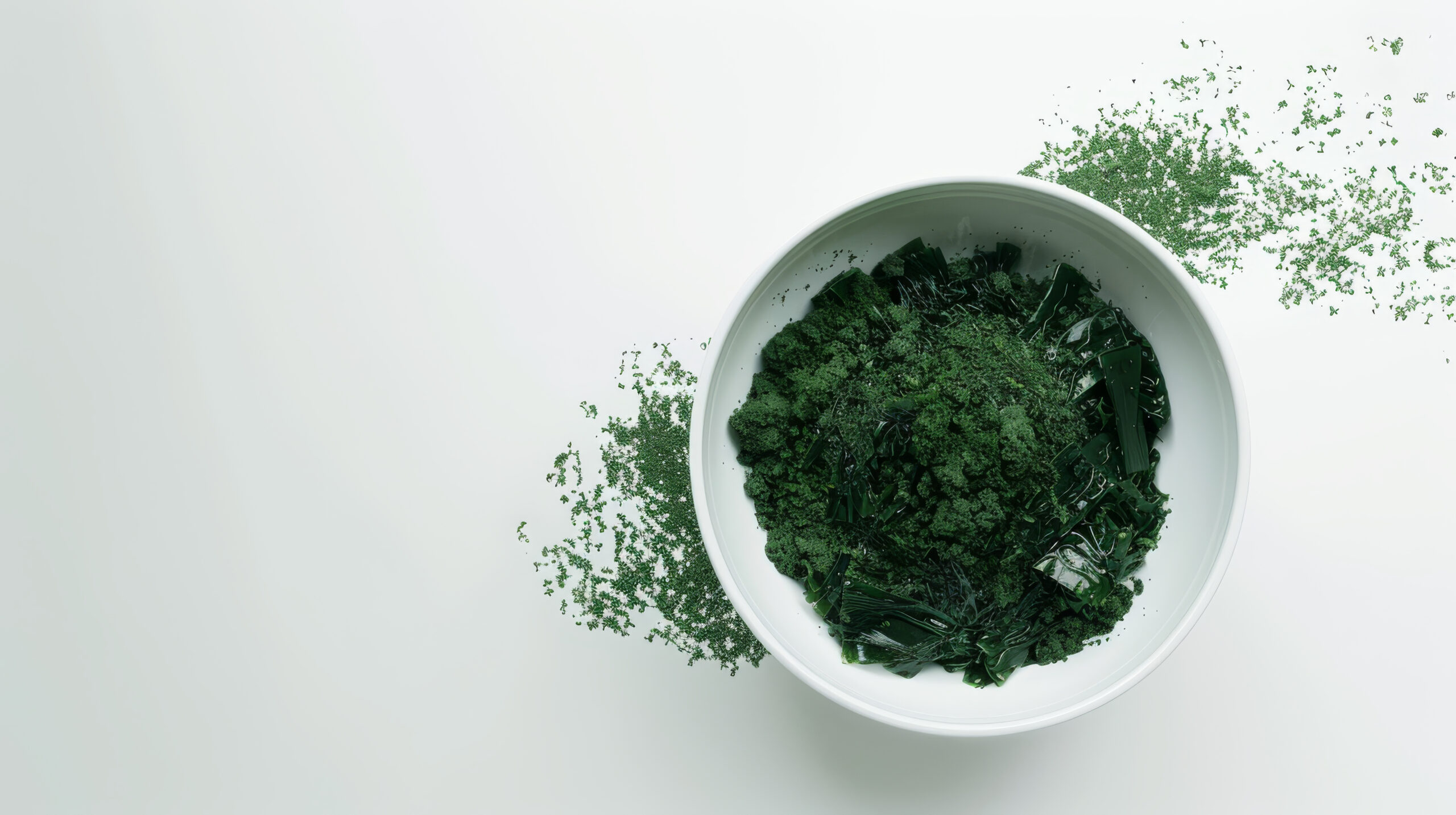 spirulina é lançamento da nutrigenes